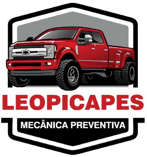 Leo Picapes